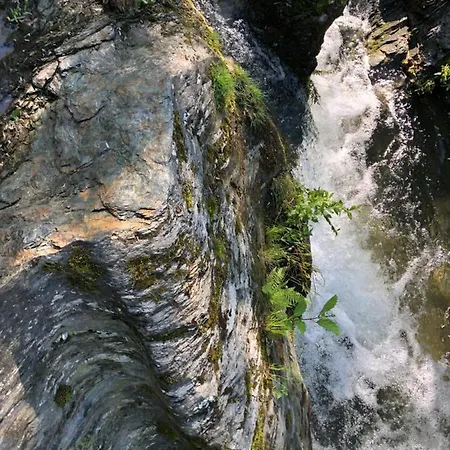 Dom wakacyjny Le 8 Cevennes Chamborigaud